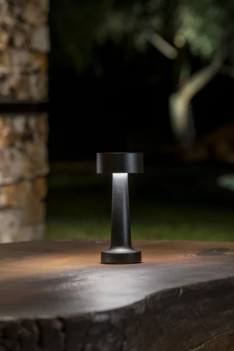 Theia Cordless Lamps